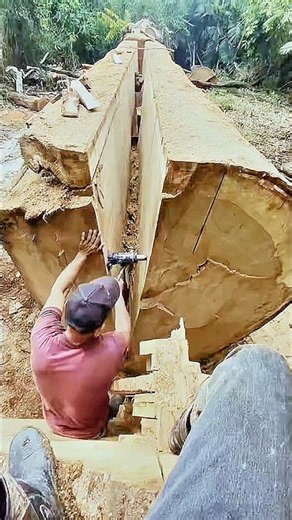 Small Tool vs Giant Log: The Power of Perfect Mechanical Leverage! #woodworking #pro #work #viral