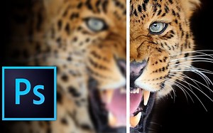 渣像素图片如何变清晰（附练习文件） | 油管播放量过百万的PS图像锐化教程 | How to Sharpen Images in Photoshop