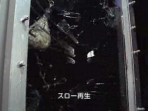 【日本板硝子公式】ガラスの破壊実験（ショットバック試験）対象：フロート板ガラス６ミリ 高さ：120㎝