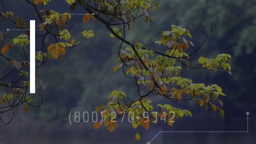 Complete Guide to QuickBooks Payroll Support