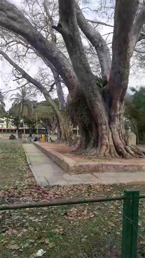 Bhoganandishwara (Siva) Temple,Nandi Village,Chikkaballapur,Karnataka