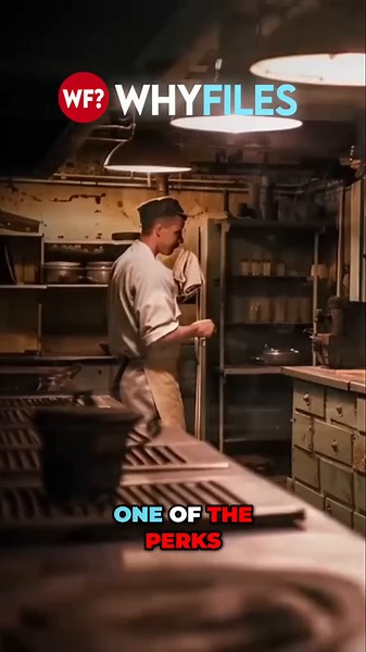 🎥 At The Why Files, we dig into the mysteries—separating 🧠 fact from 🤔 fiction while keeping you entertained! Check out TheWhyFiles.com to find more ⚠️ Disclaimer: This content is for entertainment purposes only. It explores mysterious, speculative, and historical stories that are not presented as established facts. Viewer discretion is advised. #TheWhyFiles #HeckleFish #Mystery #FactOrFiction #StayCurious