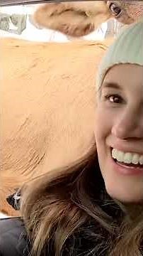 Watch the hilarious Police Chase Fail on FailArmy!