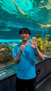 Happy World Sea Turtle Day from your favourite fishy friends; Spot, Chewy, and Schoona! 🐢💚 Learn some fun facts with our educator, Michael, and dive in deeper with our sea turtle YouTube feature at the link in our bio! Swim by our Dangerous Lagoon to say ‘hi’ to our 3 FIN-omenal green sea turtles! 👋 #SeaTurtle #KeepThemSwimming | Ripley's Aquarium of Canada