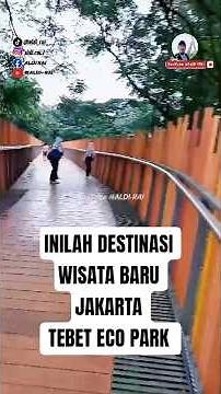 THIS IS JAKARTA'S NEW TOURIST DESTINATION, TEBET ECO PARK @ALDI-RAI #jakartatourism #tebetecopark