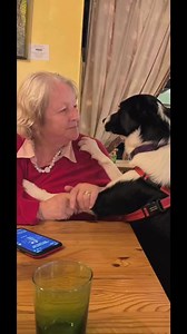 Relax with Barney | Stephen Kelleher