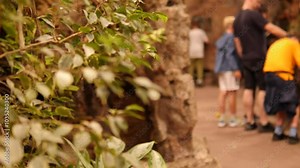 Exploring the Wonders of Nature Children Fully Engaged in Learning and Outdoor Activities