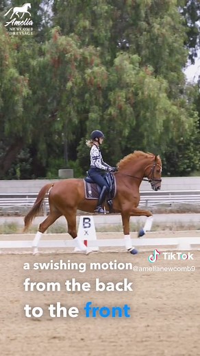 Mastering the Canter: Tips for Proper Form and Stability
