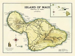 Hawaiian Art & Music Hawaiian Culture | Lahaina | Maui Salt & Sage Mag