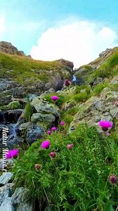 Cascada Carbunele, Transalpina, România 🇹🇩 | Natur Magic.ro