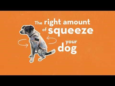 ThunderU: How To Put on a ThunderShirt