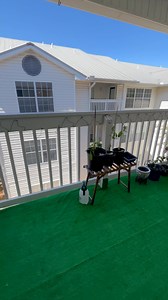 Planting day with my sissy 🤭 we will be having papaya, ampalaya and egg plant soon! What other good vegetable plants can you suggest? 🤭 #plantingseason #plantingtips #plantingvegetables #planting #gardening #garden #patiocleaning #newsfeed #feed #highlights #highlights2025 | Jhonalyn Pa Pa