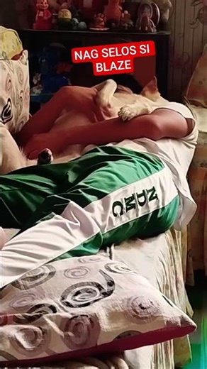 NAGSELOS SI BLAZE I Mark and Mel TV #short #shorts