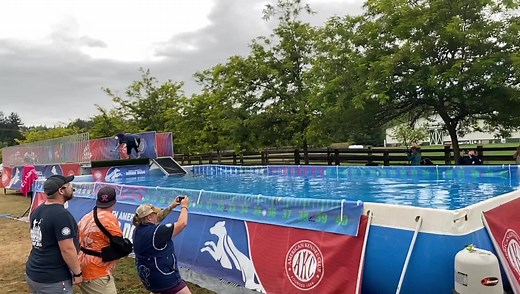 NEW NADD WORLD RECORD!! 36’10”! Congratulations to Laurel and Sounders! Still two more days of jumping on the Northwest Mobile Dock at Argus Ranch ! | North America Diving Dogs - NADD
