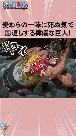 麦わらの一味に死ぬ気で恩返しする律儀な巨人！#onepiece #ワンピース #アニメ #雑学