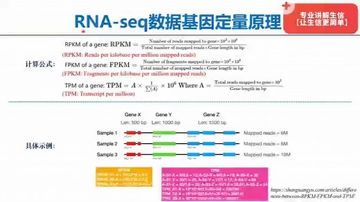 RNA-seq数据基因/转录本表达定量的原理