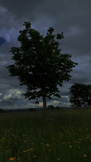 clairvoyant - misogi | clairvoyant