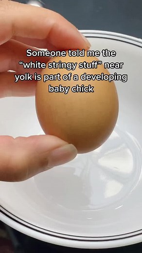 I got concerned for a hot second. #ctskindoc #sciencefair #easymeal #eggs #learnontiktok