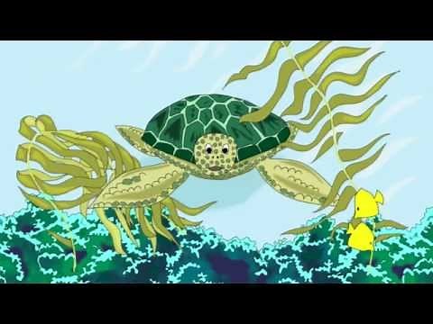 Myrtle the Turtle (kids animated film)