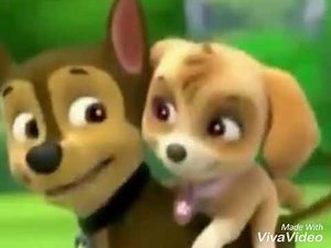 Chase x skye ( paw Patrol)