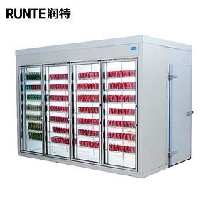 [Hot Item] New Design Frozen Beef Meat Fish Freezer Room/Walk in Freezer
