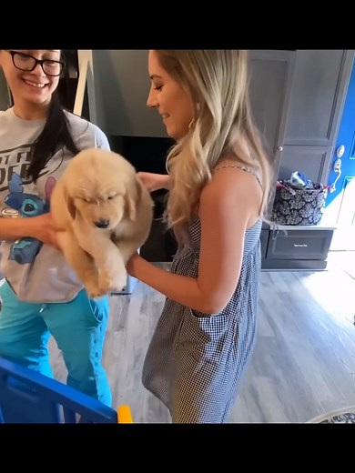 Tucker Budzyn's Adorable Puppies: Part 6 Unveiled
