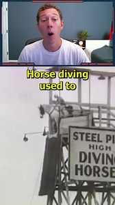 Horse diving, because what else do you do in 1880? | TheFeedski