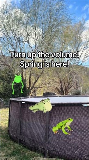 The sounds of spring have come! The frogs are awake! #frog #spring #habitat #ecosystemdynamics