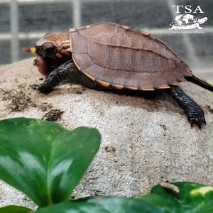 51K views · 350 reactions | Worms, worms, they're good for your...