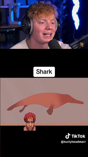 How Animals Evolved Over Time! 😨