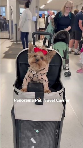 Top 3 Airline-Approved Carriers for Pet Travel