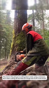 amazon forest log wood cutting tool#shortvideos #machinetechnology