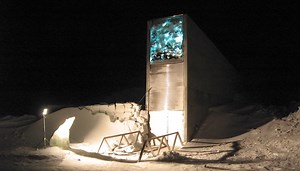 Inside the Arctic Vault Saving Humanity’s Future