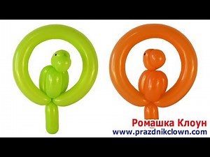 How to Make a Parrot Balloon Animal TUTORIAL