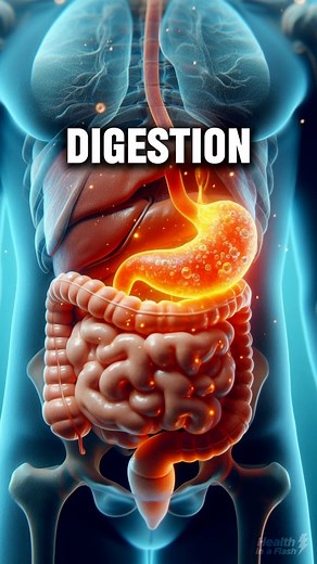 Boil Ginger With These Two Seeds for a Powerful Herbal Remedy #naturalremedy #wellness #health #healthtips The content on this page is for informational purposes only and not intended to diagnose, treat, or cure any medical condition or be considered medical advice from our side. Consult a physician / medical professional if you need health advice. | Health in a Flash