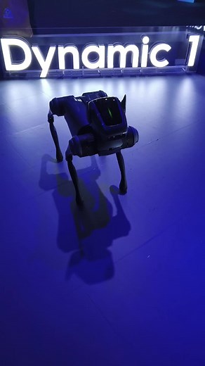 TECNO Dynamic 1 robot dog in action. #tecno #tecnorobotdog #robotdog