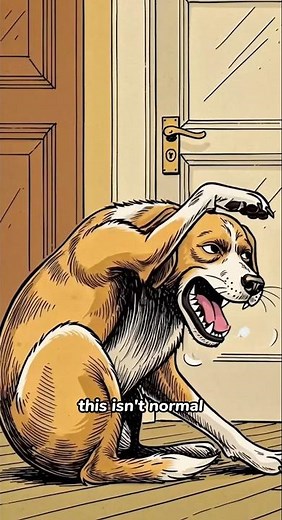 Your Dog Keeps Doing This… And It Could Be Serious