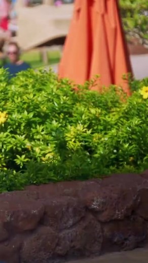 American Idol Contestant Impresses Judges with Soulful Performance