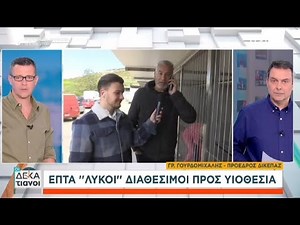Διαθέσιμα για υιοθεσία τα 7 τσέχικα λυκόσκυλα που φιλοξενούνται στο ΔΙΚΕΠΑΖ