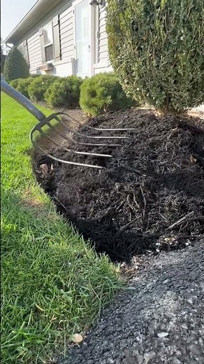 Which color mulch is best? Red, Black or natural? #mulch #mulching #garden #flowerbed #red #black