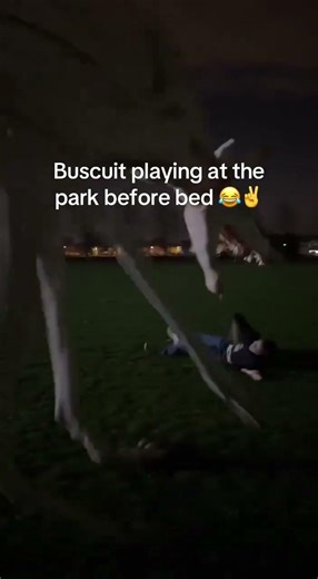 There’s some absolute gold star AI stuff on X lmao