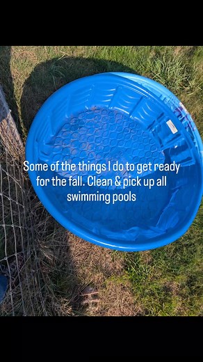 Fabulous fall #changingweather #autumncolours | Eileen J Shelley