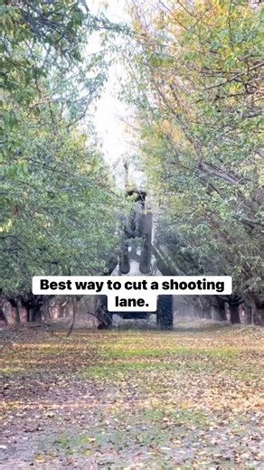 The best way… | Bucks of Nebraska