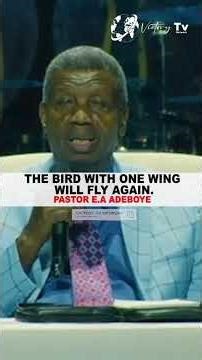 THE BIRD WITH ONE WING SHALL FLY AGAIN