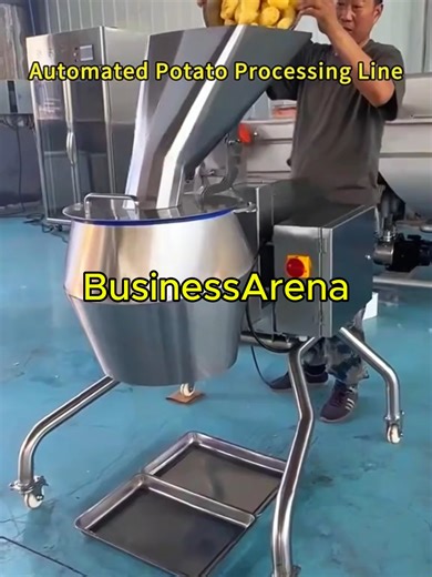Automated Potato Processing Line for Crisps Production