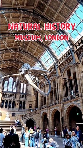 History Comes Alive. Natural History Museum NHM London. 🇬🇧