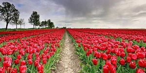 Wetter April 2026: Wird Trockenheit zum Problem? | wetter.com