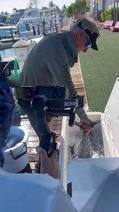 If you clean fish you need a @killerdock 🔪🐟👇Why?!?!This is the finest fish cleaning station ever created 💯 Check out these features and click the link in our story: MARINE GRADE ALUMINUMPROTECTED BY ANTI-CORROSION CLEAR COATING 150 MPH WIND RATINGPATENTED TABLE LEG DRAINING SYSTEMPATENTED WATER INTAKE SYSTEM IN THE UPSCALE TABLE LEGSPATENTED CANOPY DESIGNFLAT OR EDGE MOUNT OPTIONS316L STAINLESS STEEL HARDWARE KING STARBOARD CUTTING SURFACEMADE IN THE USA 🇺🇸 #intothebluetv #killerdock #fish