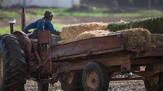 October 12 declared 'Farmers' Day' in Alabama