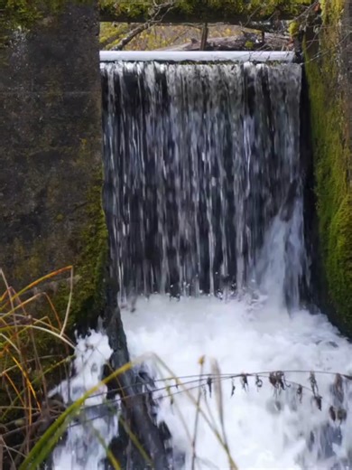 Apa itu bendung? Bendung adalah struktur penting dalam teknik sipil yang berfungsi mengatur aliran sungai. Meskipun sering disamakan dengan bendungan, bendung sebenarnya memiliki fungsi berbeda—bukan untuk menampung air, tapi untuk mengatur tinggi muka air agar bisa dialirkan ke sistem irigasi atau mencegah banjir. Dalam video ini, kamu akan mengenal: ✅ Perbedaan bendung dan bendungan ✅ Fungsi utama bendung di sungai ✅ Cara kerja pintu air pada bendung ✅ Contoh bendung terkenal di Indonesia Bend
